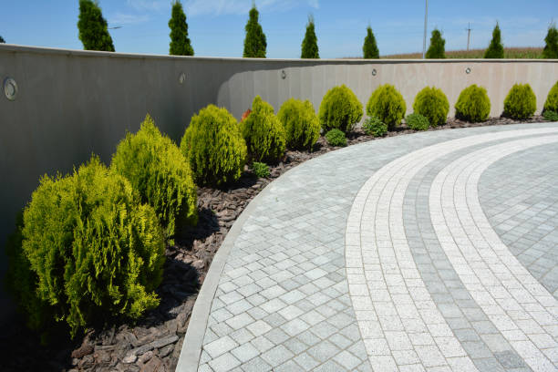 Best Driveway Paving Contractor  in Shavertown, PA